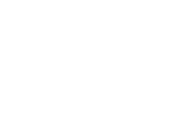Beauty Couriers